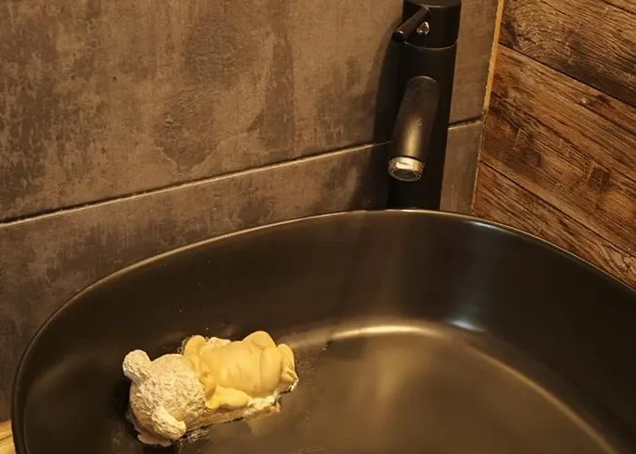 Old Town Cozy Flat Braşov